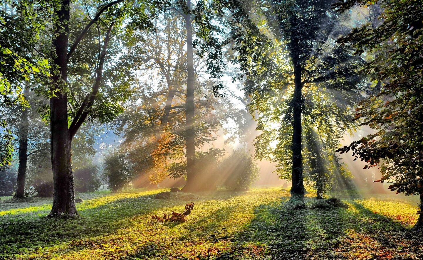 Park Przypałacowy, Fot: Krzysztof Kilian
