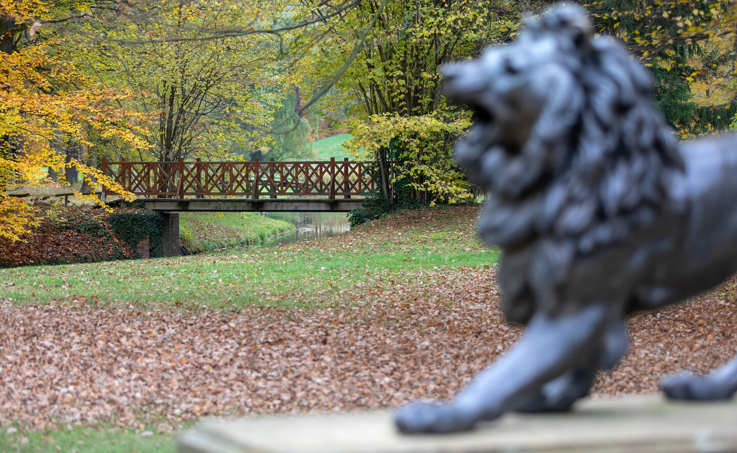 Löwen, Branitzer Park
