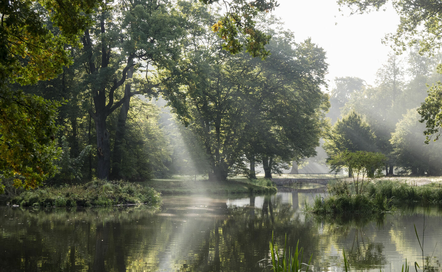 Jezioro Dębów, Fot: Holger Rothamel