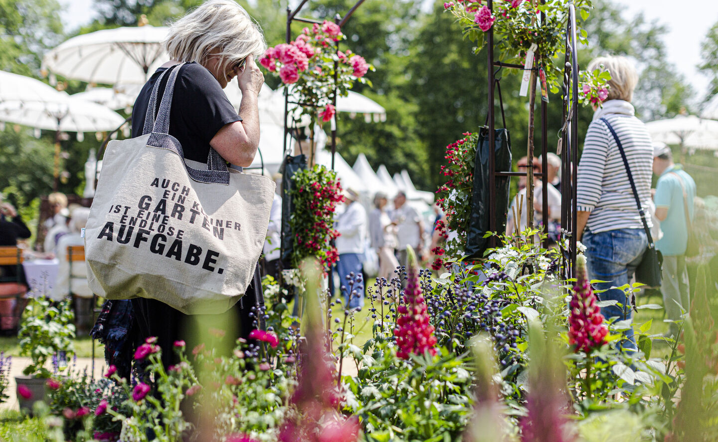 Branitzer Gartenmarkt 2, Foto. F. Bröcker