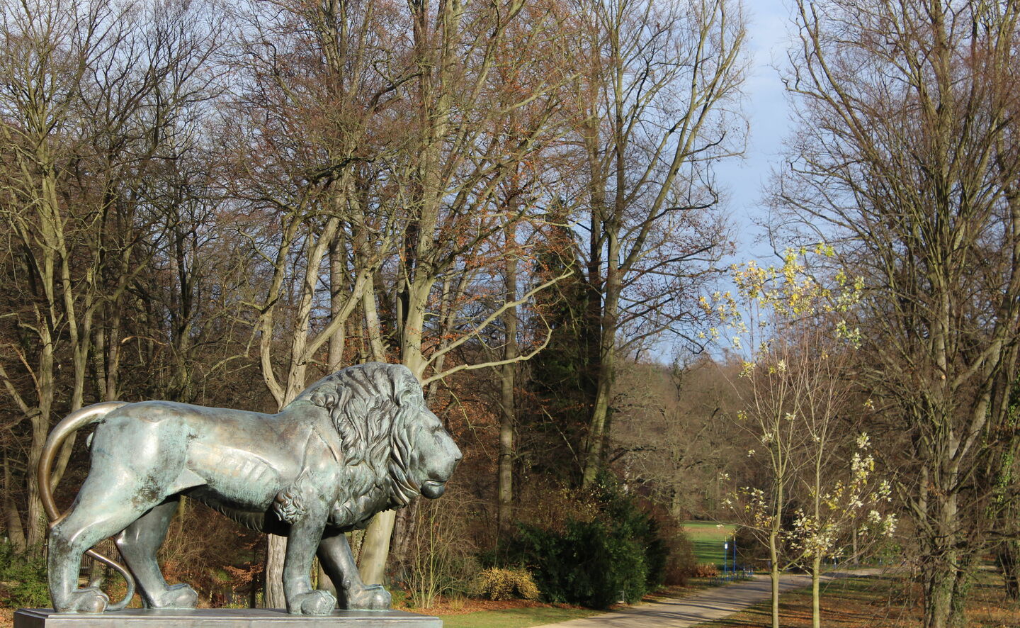 Lwy mużakowskie, Fot: Stiftung „Fürst-Pückler-Park Bad Muskau“