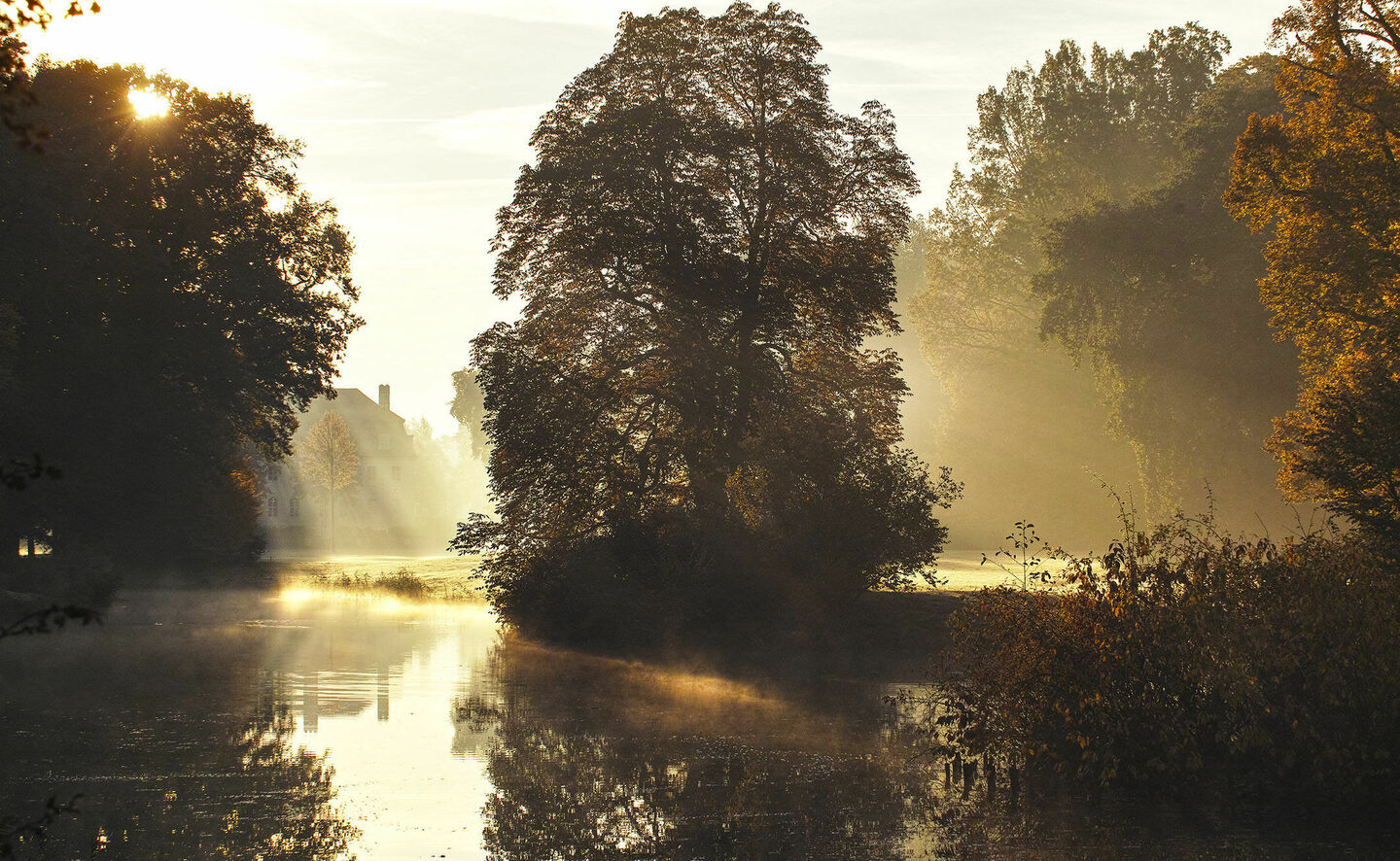 Sonnenaufgang über Schloss Branitz und dem Schilfsee im Innenpark, Foto: Hans Bach, Potsdam / SFPM (2013)