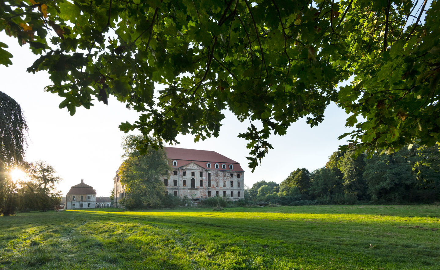 Widok na Pałac Brühla w Brodach, © Leo Seidel