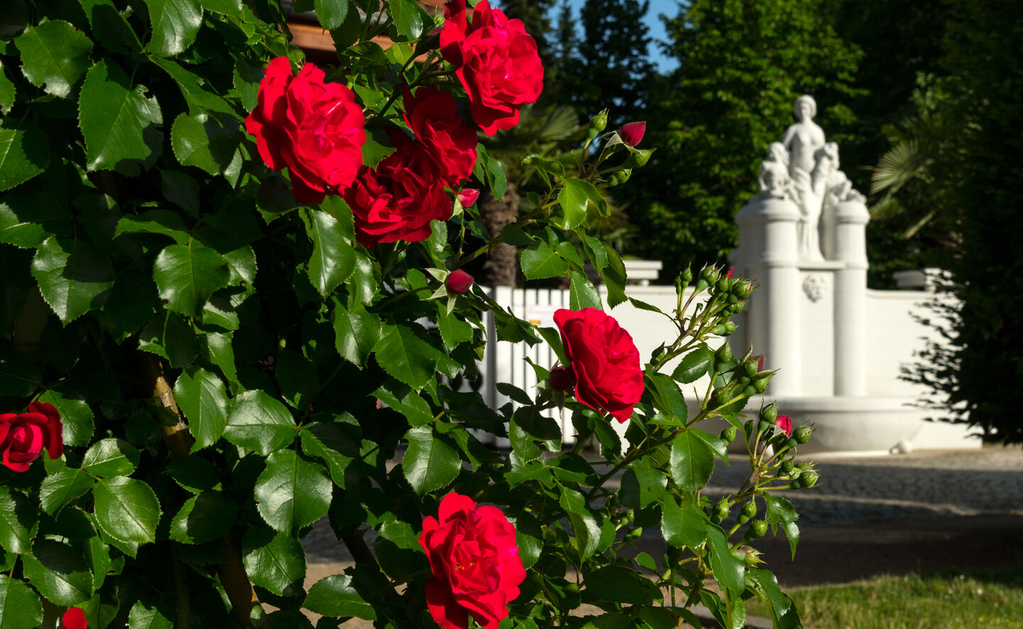 Róże i bogini Flora przy historycznym wejściu, © Leo Seidel