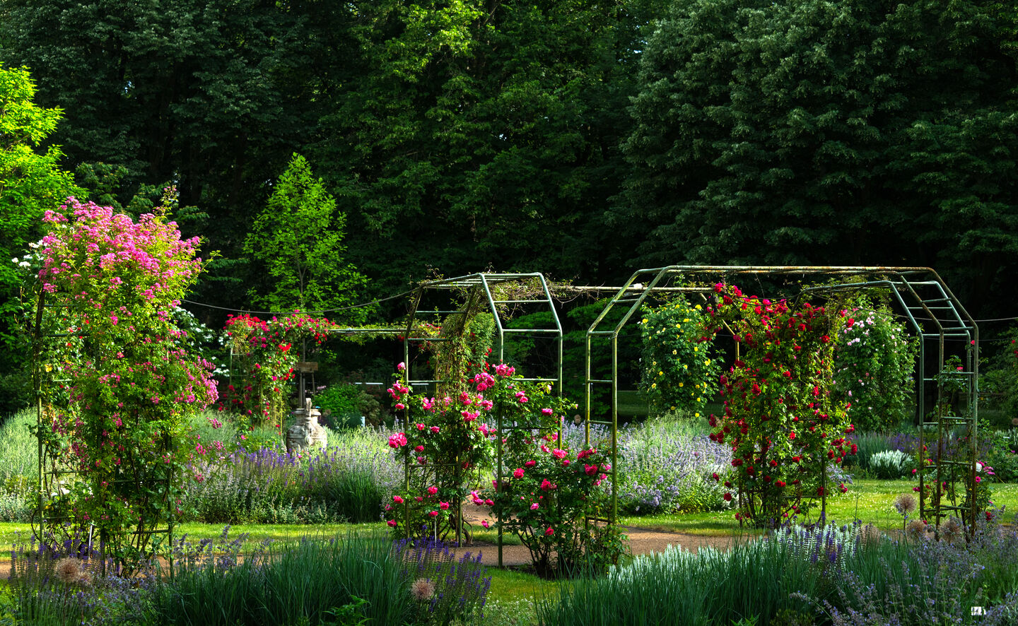 Pergola różana, © Leo Seidel
