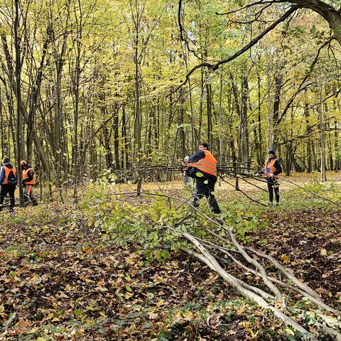 Parkseminar in Żagań am 18.10.2025, © Stadt Żagań